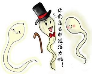 弱精症怎样饮食提高精子质量?