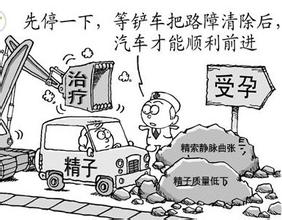精索静脉曲张如何用饮食保健?